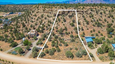Bird's eye view featuring a mountain view and view of desert