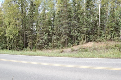 Main property area