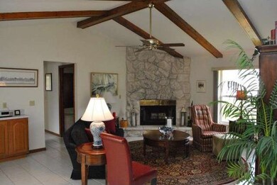 Wood Burning Fireplace