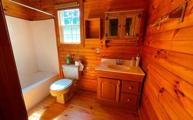 665 Shady Ln, Mineral Bluff, GA 30559 - photo 7