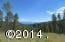 Meadow and Lake view
