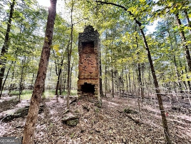 8827 Estes Rd, Macon, GA 31220 - photo 3