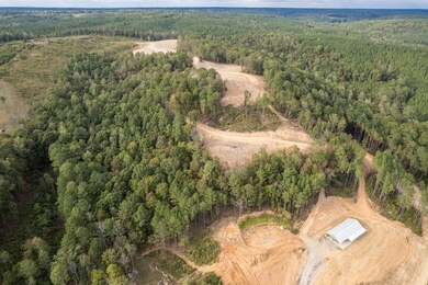 1190 County Road 950, Crane Hill, AL 35053 - photo 4