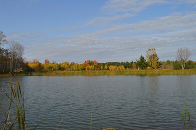 DSC_0012 (1)