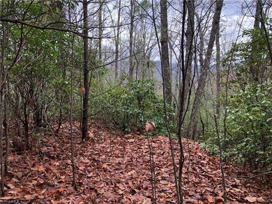 Lot 230 Deer Run, Purlear, NC 28665 - photo 6