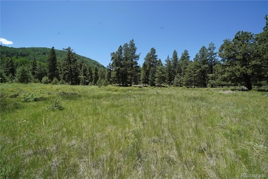 136 Elk Meadow Run, Antonito, CO 81120 - photo 3