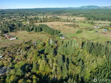 433 W Lucas Ln, Elma, WA 98541 - photo 6