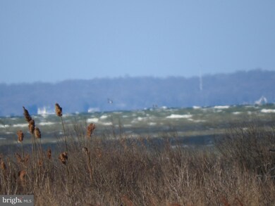 817 Kim Dr, Cambridge, MD 21613 - photo 3
