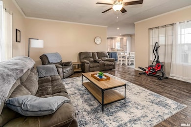 5673 Arctic Fox Dr, Carterville, IL 62918 - photo 6