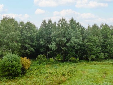 Tbd Homer, Iron River, MI 49935 - photo 3