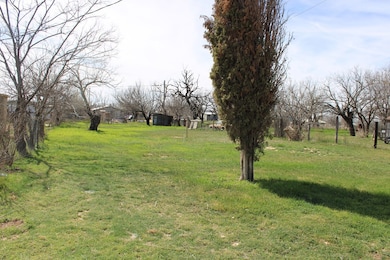 703 N 15th St unit 55' of 4, Ballinger, TX 76821 - photo 3