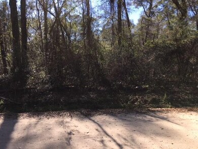 XXX Renegade Rd, Crawfordville, FL 32327 - photo 4