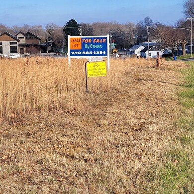000 Town View Estates unit LOTS 1 & 2, Jamestown, KY 42629 - photo 5