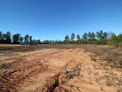 117 Hafner Ln, Lucedale, MS 39452 - photo 2