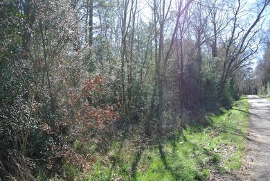 TBD C R 3257, Garrison, TX 75946 - photo 3