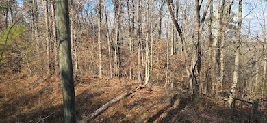 00001 Georgia 369, Ball Ground, GA 30107 - photo 2