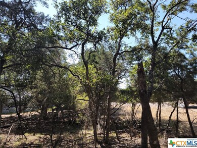 15969 Salado Dr, Temple, TX 76502 - photo 5