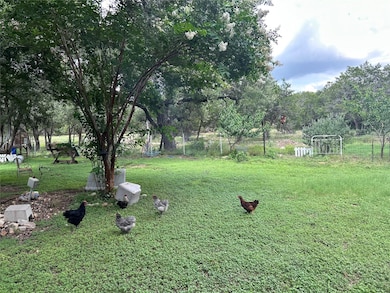 View of grassy yard