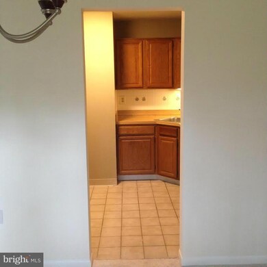 1412 Northgate Square unit 22B, Reston, VA 20190 - photo 6