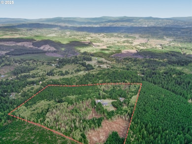 67391 Hollywood Rd, Deer Island, OR 97054 - photo 4