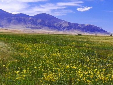 NHN Stagecoach Spur W unit 935-6, Belfry, MT 59008 - photo 5