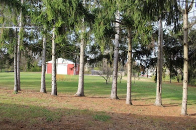 9370 Moon Rd, Saline, MI 48176 - photo 5