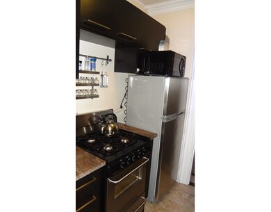 172 W Newton St, Boston, MA 02118 - photo 5
