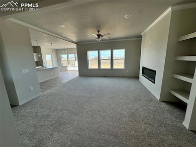 Unfurnished living room with built in shelves, cro