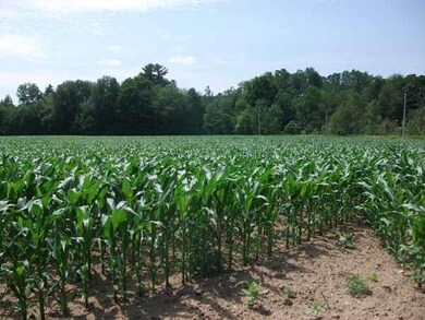 000000 Griffin Rd, Levant, ME 04345 - photo 7