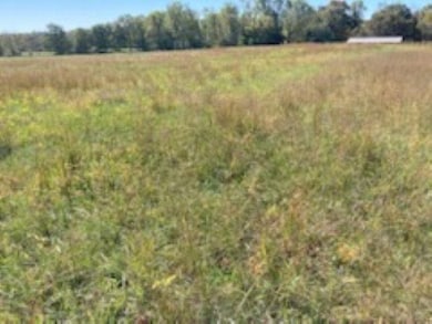 00 Cudd Dr, Chesnee, SC 29323 - photo 5