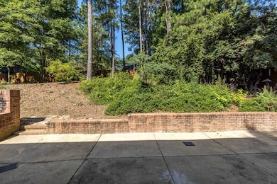 Back Patio/Yard