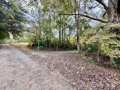 TBD Orchard Ln, Brevard, NC 28712 - photo 6