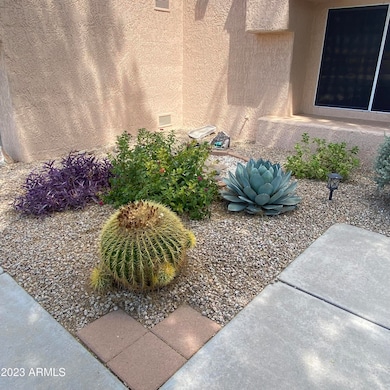 Front garden area succulents