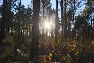 Scarboro Landing, Millen, GA 30442 - photo 4