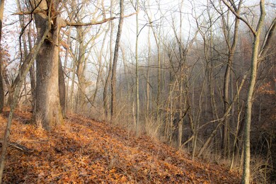 Lot 1 East St, Berlin Township, IL 61356 - photo 7