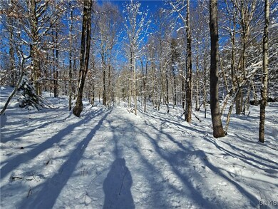 0 Long Pond Rd, Croghan, NY 13327 - photo 5