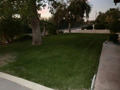 Front yard