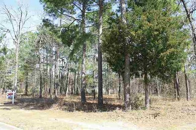 3045 Stonegate Blvd, Tyler, TX 75703 - photo 6