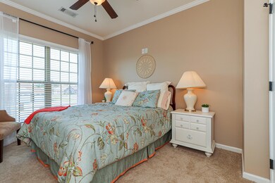 4505 Phillips Dr, Paragould, AR 72450 - photo 7