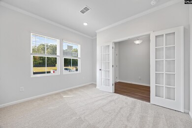 133 Monroe Preserve Ln, Chapin, SC 29036 - photo 7