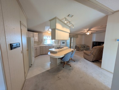 1741 Conifer Ave, Kissimmee, FL 34758 - photo 6