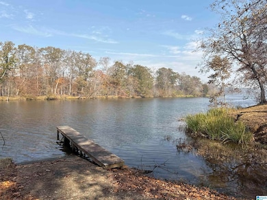 137 River Run Rd, Childersburg, AL 35044 - photo 2