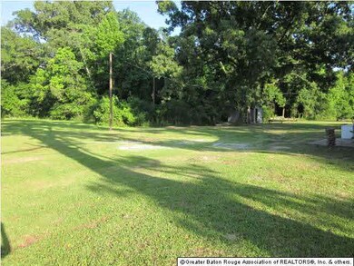 Large backyard