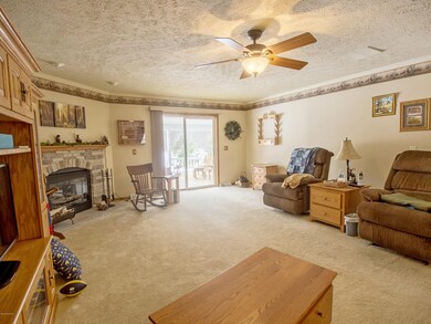 1050 W Woodland Park Dr, Bitely, MI 49309 - photo 6