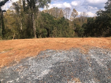 oo Hamberg St, Pendleton, SC 29670 - photo 3