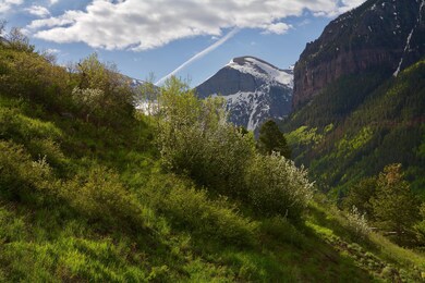 IMG_6049