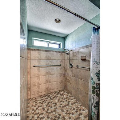 roll in shower updated