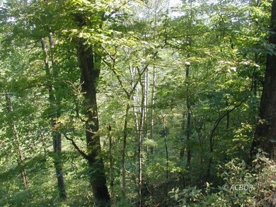 View of Property