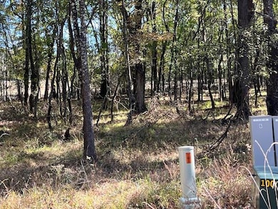 196 Deer Valley Cir, Broken Bow, OK 74278 - photo 2