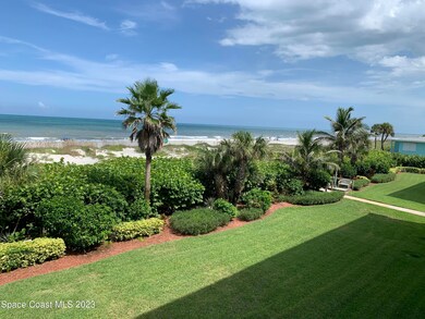 Pretty Backyard